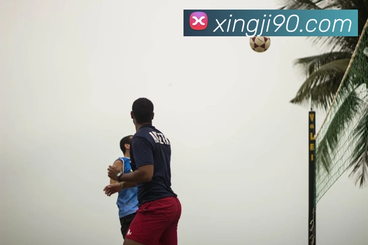 数据分析功能